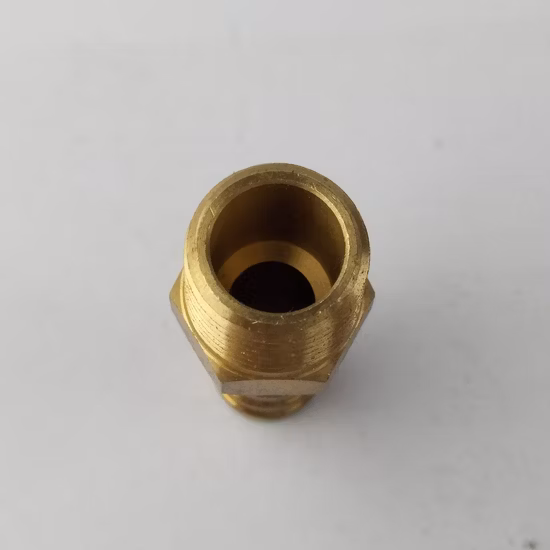 황동 티타늄 표준/사용자 정의 절단기 예비 CNC 선반 가공 부품